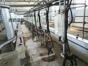 大型養(yǎng)殖場整廠轉(zhuǎn)讓及資產(chǎn)處置信息